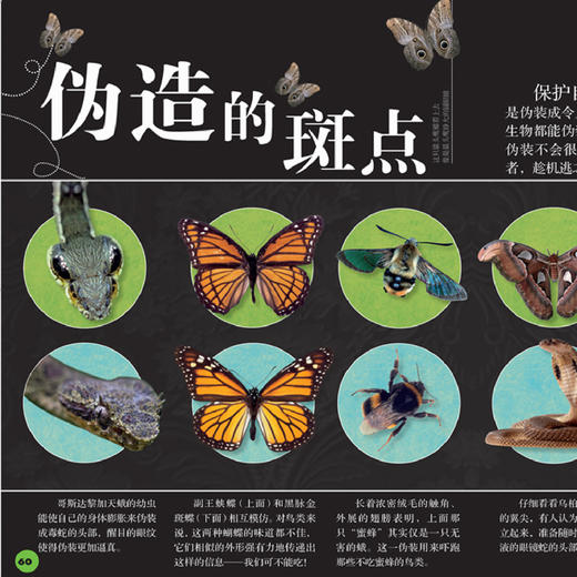 《DK动物百科系列》(全7册) 商品图4