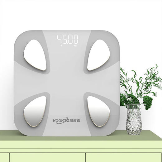 KOOKZZ酷客者  智能体脂秤   C30 商品图0