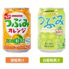 日本三佳利果粒橙汁280ml 商品缩略图1