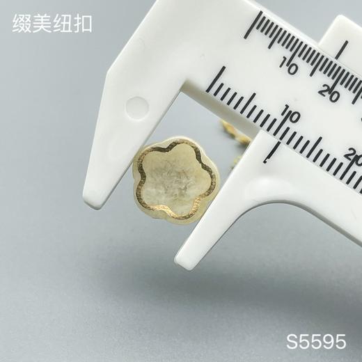S5595(整包购买) 商品图3