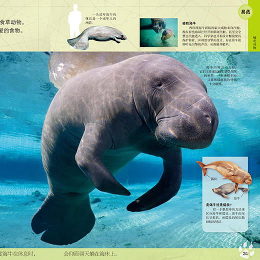《DK动物百科系列：濒危动物》 商品图2