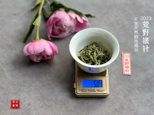 【2023春茶来了】2023荒野银针，更野、更鲜、更嫩，粗看之下还以为是荒野米针 商品图7