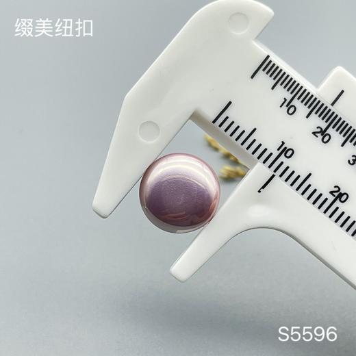 S5596(整包购买) 商品图4