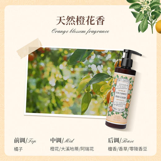 南法庄园身体乳海茴香 250ml 滋润保湿 润肤敏感肌可用 生日送人 男女可用 商品图6