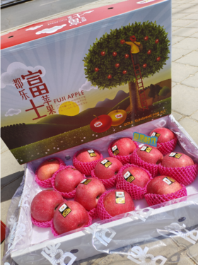 都乐富士苹果一箱（拼团）