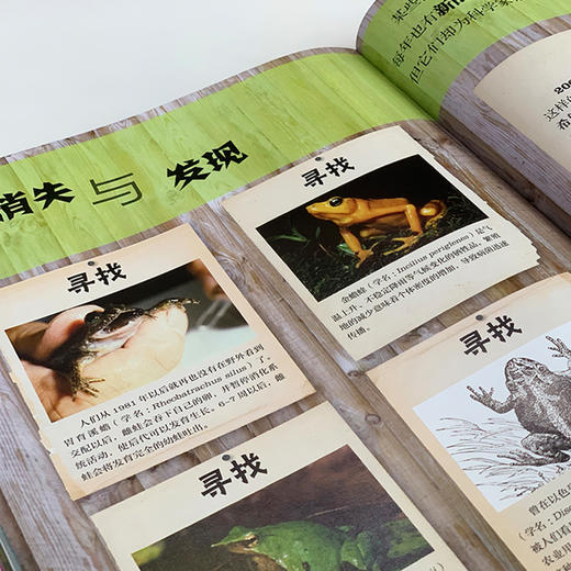 《DK动物百科系列：两栖爬行动物》 商品图6