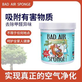 【中欧班列精选2盒】美国空气净化清新剂 原装进口 Bad Air Sponge室内装修去味汽车除甲醛400g/盒