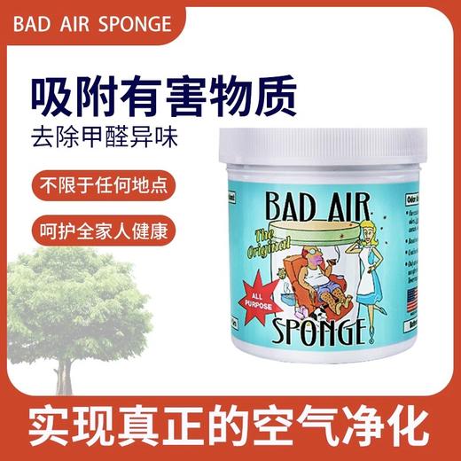 【中欧班列精选2盒】美国空气净化清新剂 原装进口 Bad Air Sponge室内装修去味汽车除甲醛400g/盒 商品图0