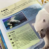 《DK动物百科系列：濒危动物》 商品缩略图6