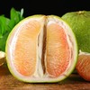 泰国翡翠青柚、晶莹透亮、颗粒饱满、清甜的口感、爽脆的果肉、越吃越上瘾 商品缩略图2