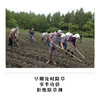 豆腐 约400g，非转基因，种植无化学投入 商品缩略图2