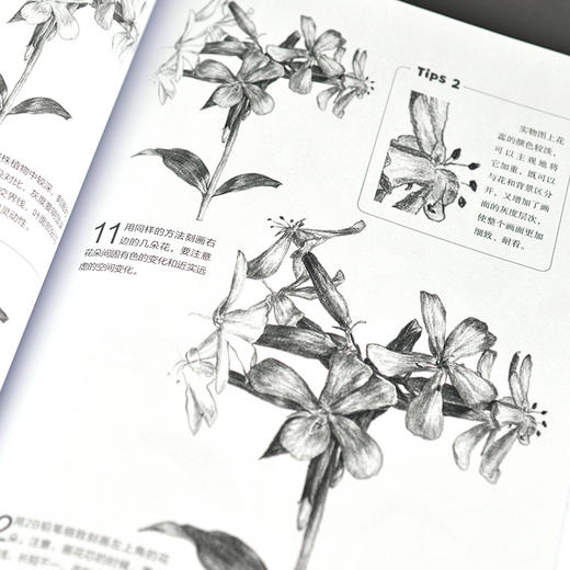 零基础学会素描 精进篇 商品图2
