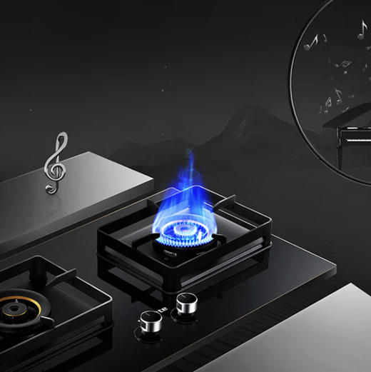 卡萨帝（Casarte）灶具 JZT-CDZ3（12T） 商品图2
