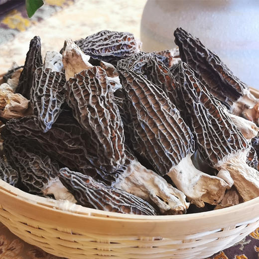【东北特产 野生羊肚蘑】人工采摘自然风干营养丰富 商品图7
