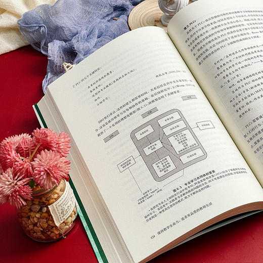 保持教学生命力 追求有品质的教师生活 学校变革与教师发展丛书 商品图9