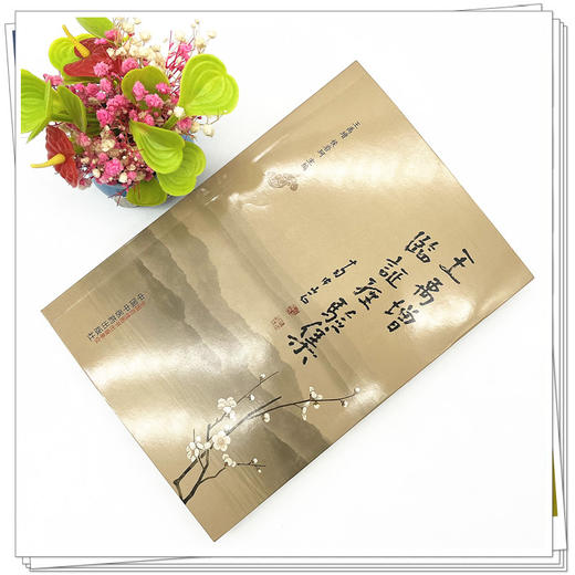 王禹增临证经验集 王禹增 侯岩珂 主编 中国中医药出版社 医论医话 医案 骨伤科 内科 外科 妇科学 书籍 商品图2