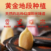 30袋盒装话梅味西瓜子旭东百里挑一南瓜子葵瓜子休闲零食坚果炒货年货食品 商品缩略图2