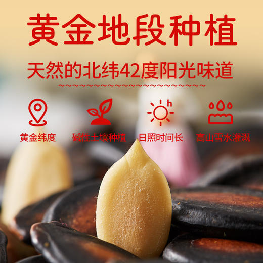 30袋盒装话梅味西瓜子旭东百里挑一南瓜子葵瓜子休闲零食坚果炒货年货食品 商品图2