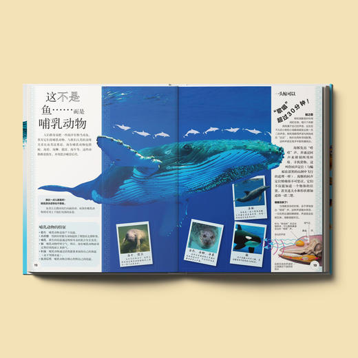 《DK动物百科系列》(全7册) 商品图2