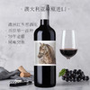 【原瓶进口】特斯纳圣马西拉干红葡萄酒/澳大利亚经典巴罗萨产区/70年老藤/原瓶进口 商品缩略图0