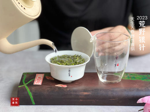 【2023春茶来了】2023荒野银针，更野、更鲜、更嫩，粗看之下还以为是荒野米针 商品图9