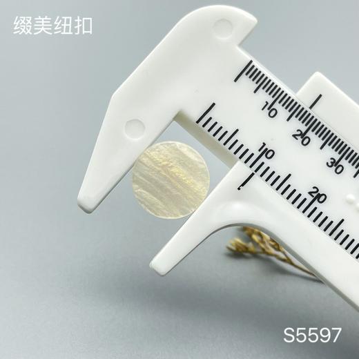 S5597(整包购买) 商品图3