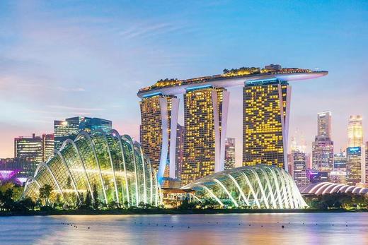 “Z时代星主播 · 遇见新加坡”中外文化交流团 商品图4