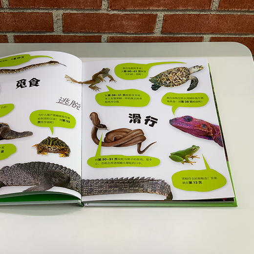 《DK动物百科系列：两栖爬行动物》 商品图8