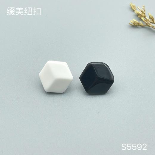 S5592(整包购买) 商品图0