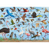 鸟类 1000片拼图 文创周边 Peter Pauper Press 英文原版 All the Birds 1 000 Piece Jigsaw Puzzle 商品缩略图0