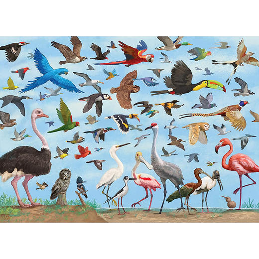 鸟类 1000片拼图 文创周边 Peter Pauper Press 英文原版 All the Birds 1 000 Piece Jigsaw Puzzle 商品图0