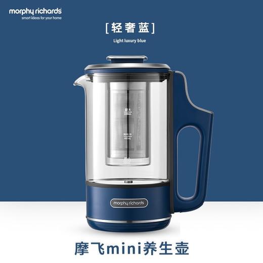 摩飞电器（Morphyrichards）养生壶 便携迷你煮茶器 烧水壶养生杯 小型办公室家用多功能煮茶壶热水壶 MR6086 商品图0