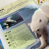 《DK动物百科系列》(全7册) 商品缩略图9