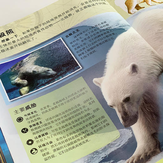 《DK动物百科系列》(全7册) 商品图9