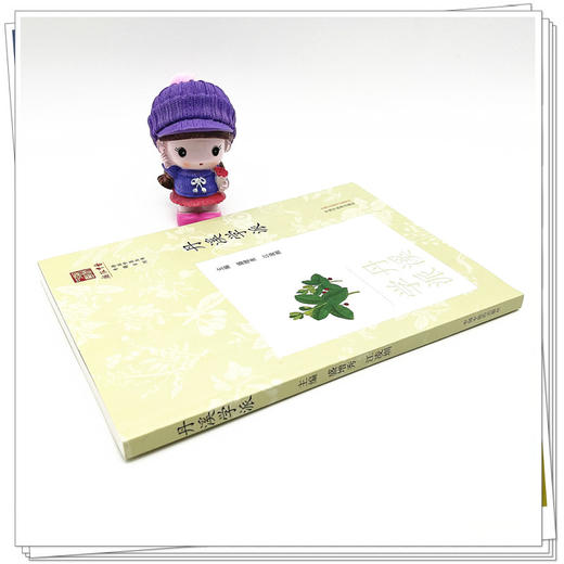 丹溪学派 浙派中医丛书 刘时觉 著 中国中医药出版社 中医临床 书籍 商品图3