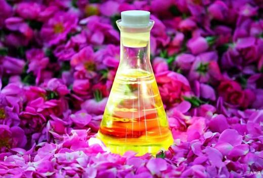 必囤NO1!【陪伴到老!含有精油的大马士革玫瑰纯 露】最顶级的食用玫瑰，4斤鲜花1斤水蒸馏萃取。 保加利亚官方合作基地纯种种苗，自然农法种植， 桃花源中有玫瑰! 商品图11