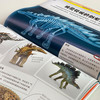 《DK动物百科系列：恐龙》 商品缩略图5