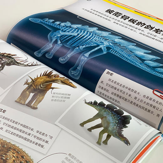 《DK动物百科系列：恐龙》 商品图5