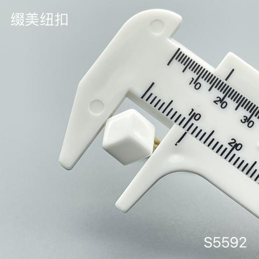 S5592(整包购买) 商品图3