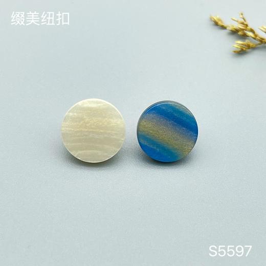 S5597(整包购买) 商品图0