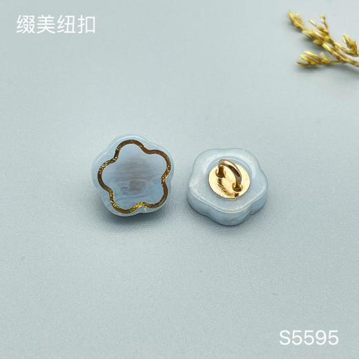 S5595(整包购买) 商品图1