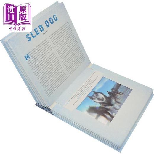【中商原版】光与影视觉书系列2册 英文原版 A Photicular Book 会动的3D立体图片书 纽约时报畅销书 极地Polar 陆地Outback 商品图9