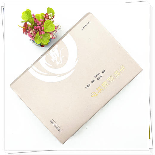 生殖微循环学 金保方 著 中国中医药出版社 中西医男科学书籍 商品图2