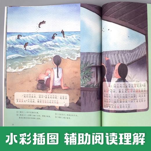 大家小绘分级阅读 商品图7