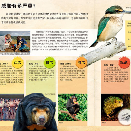 《DK动物百科系列：濒危动物》 商品图3