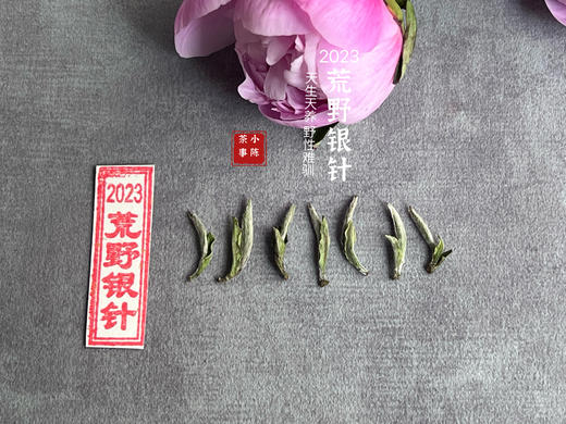【2023春茶来了】2023荒野银针，更野、更鲜、更嫩，粗看之下还以为是荒野米针 商品图2