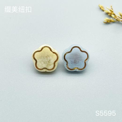 S5595(整包购买) 商品图0