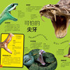 《DK动物百科系列：爬行动物》 商品缩略图3