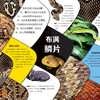 《DK动物百科系列：爬行动物》 商品缩略图2