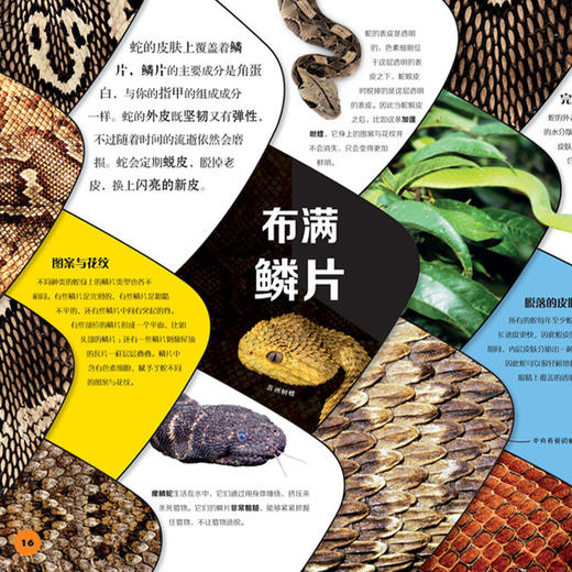 《DK动物百科系列：爬行动物》 商品图2